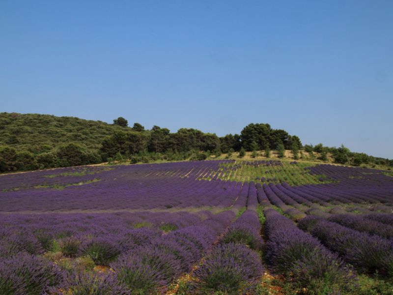 tourisme en provence