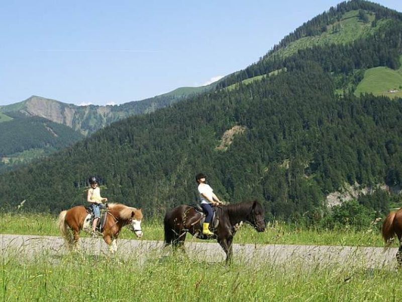 Camping Castellane Ciela Village Terra Verdon Randonnée à cheval
